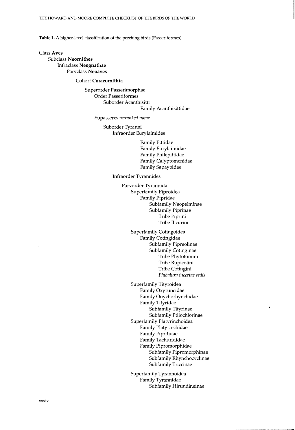 Cohort Coracomithia Eupasseres Unranked Name Phibalura Incertae