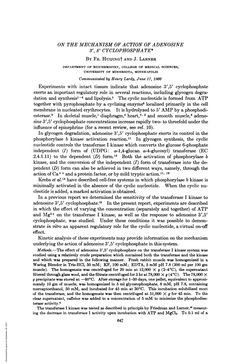 31, 5' CYCLOPHOSPHATE* Esterase.8 in Skeletal