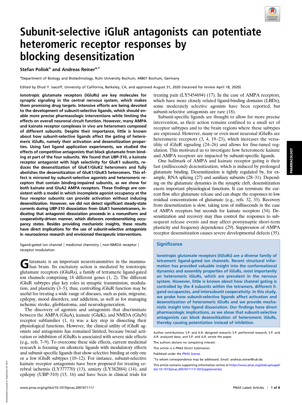 Subunit-Selective Iglur Antagonists Can Potentiate Heteromeric Receptor Responses by Blocking Desensitization