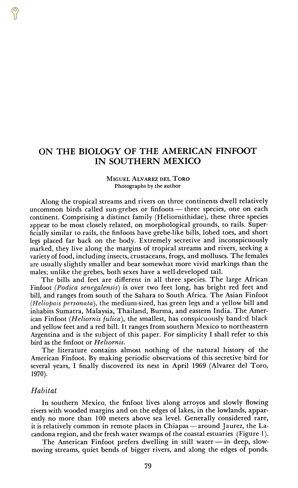 On the Biology of the American Finfoot in Southern Mexico