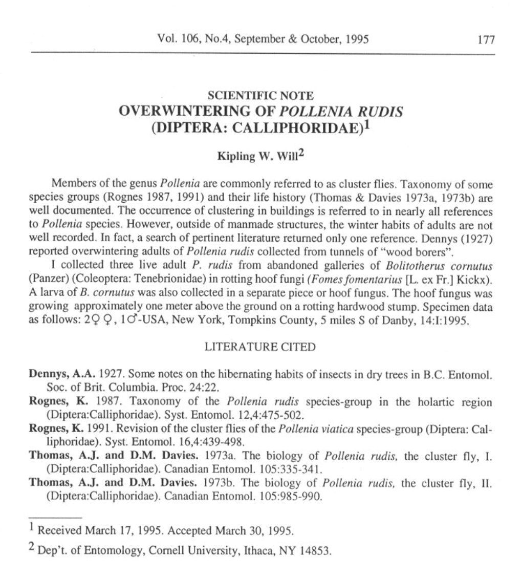 Overwintering of Pollenia Rudis (Diptera: Calliphoridae)!