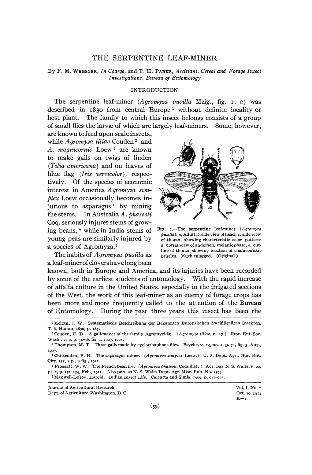 The Serpentine Leaf-Miner