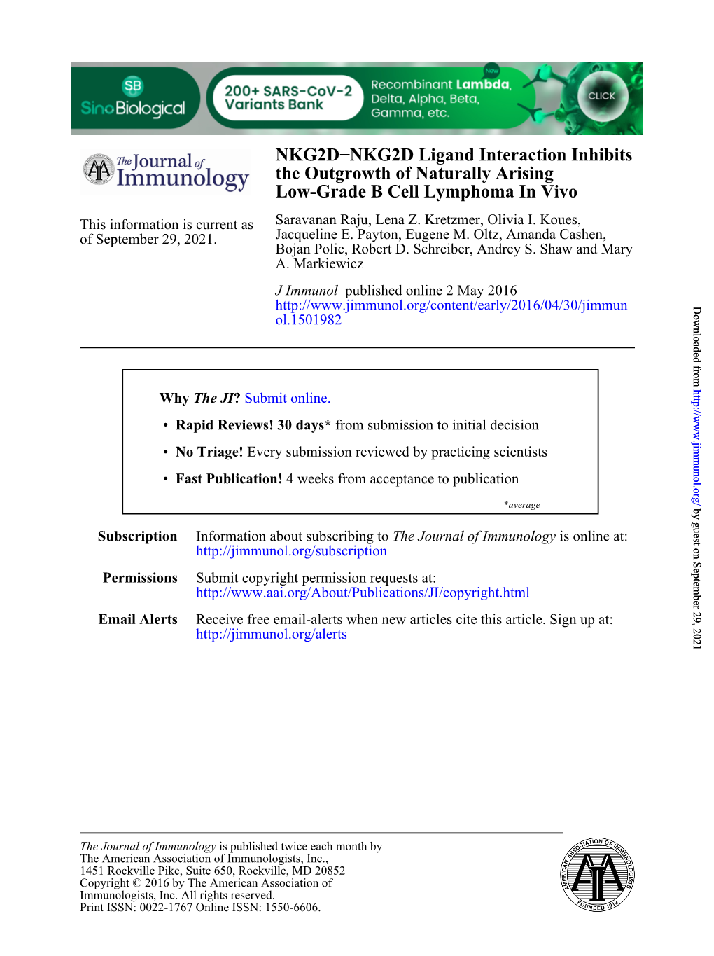 NKG2D−NKG2D Ligand Interaction Inhibits the Outgrowth of Naturally Arising Low-Grade B Cell Lymphoma in Vivo