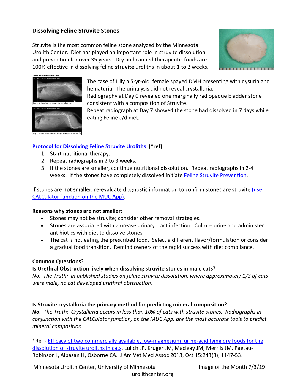 Dissolving Feline Struvite Stones