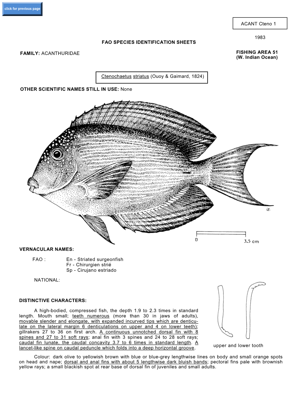 ACANT Cteno 1 1983 FAO SPECIES IDENTIFICATION SHEETS FAMILY