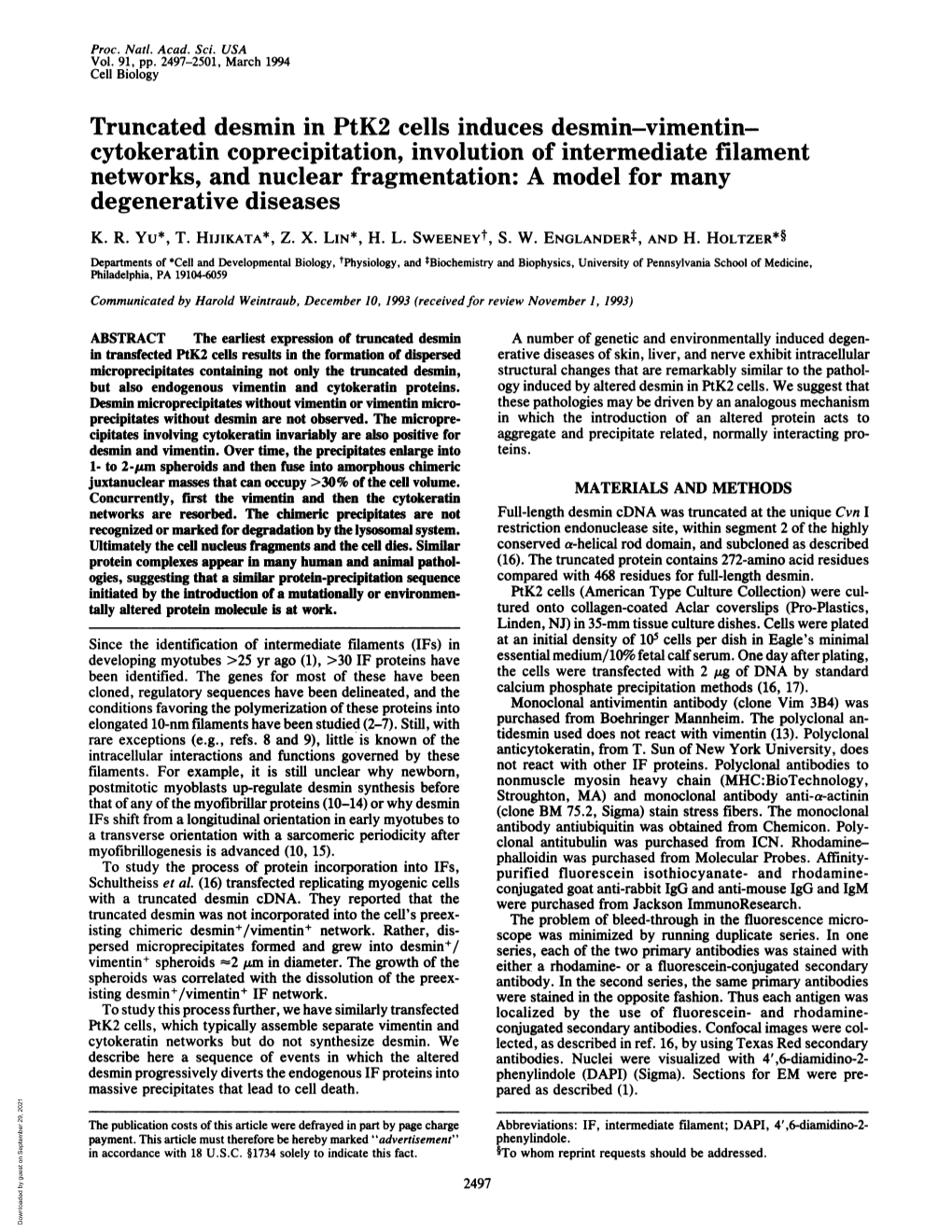 Cytokeratin Coprecipitation, Involution of Intermediate Filament Networks, and Nuclear Fragmentation: a Model for Many Degenerative Diseases