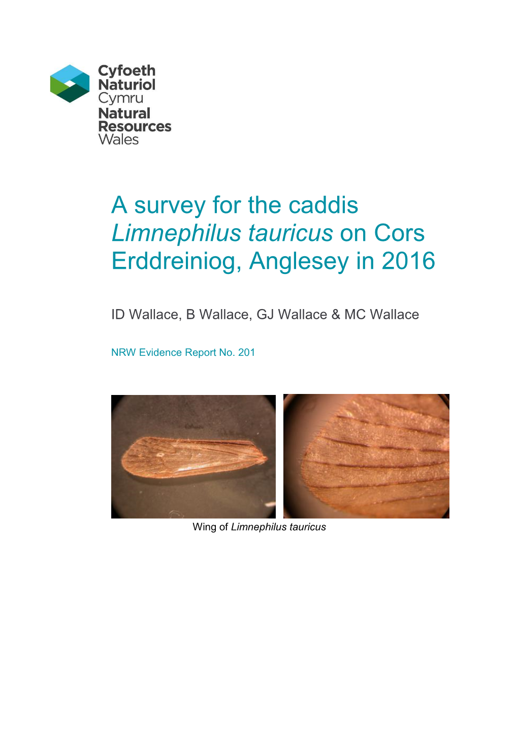 A Survey for the Caddis Limnephilus Tauricus on Cors Erddreiniog, Anglesey in 2016