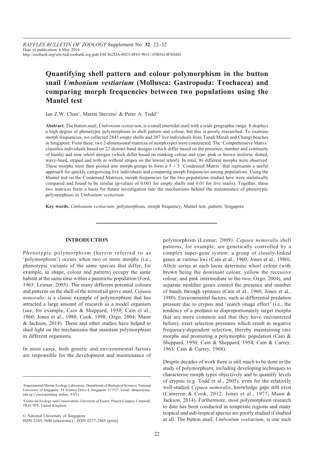 Quantifying Shell Pattern and Colour Polymorphism in the Button Snail