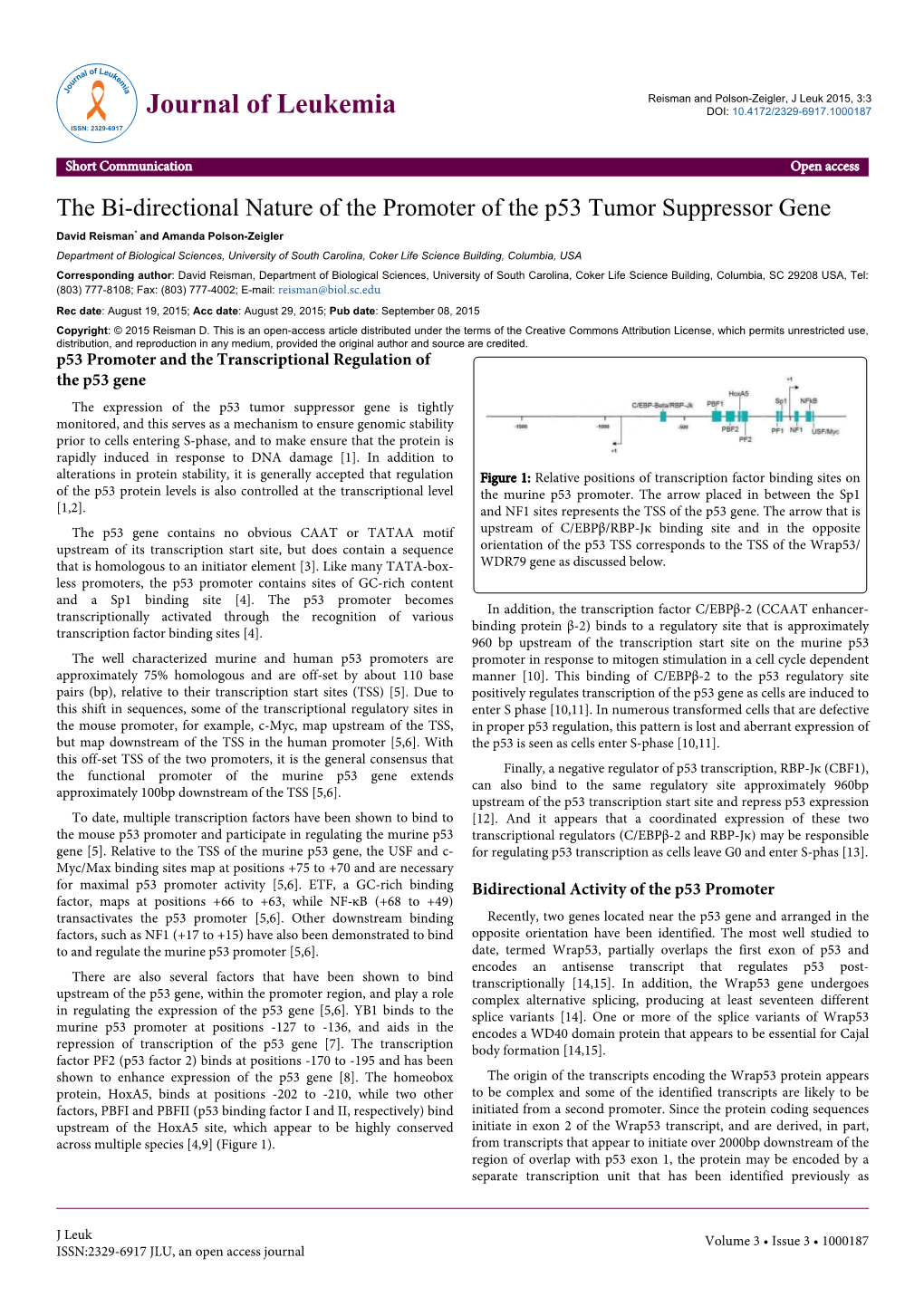 The Bi-Directional Nature of the Promoter of the P53 Tumor