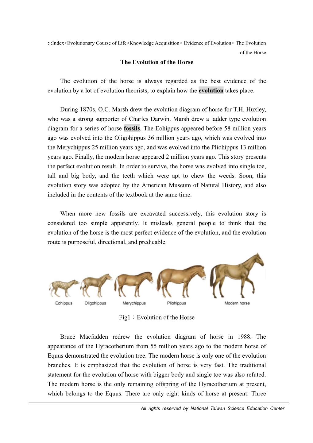 Evolutionary Course of Life>Knowledge Acquisition> Evidence of Evolution> the Evolution of the Horse the Evolution of the Horse