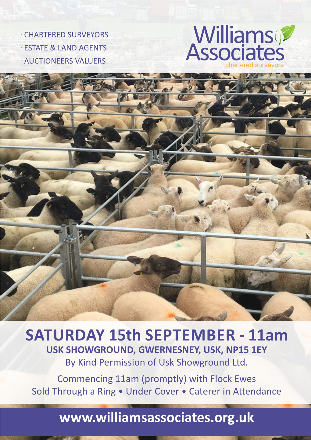 SATURDAY 15Th SEPTEMBER - 11Am USK SHOWGROUND, GWERNESNEY, USK, NP15 1EY by Kind Permission of Usk Showground Ltd