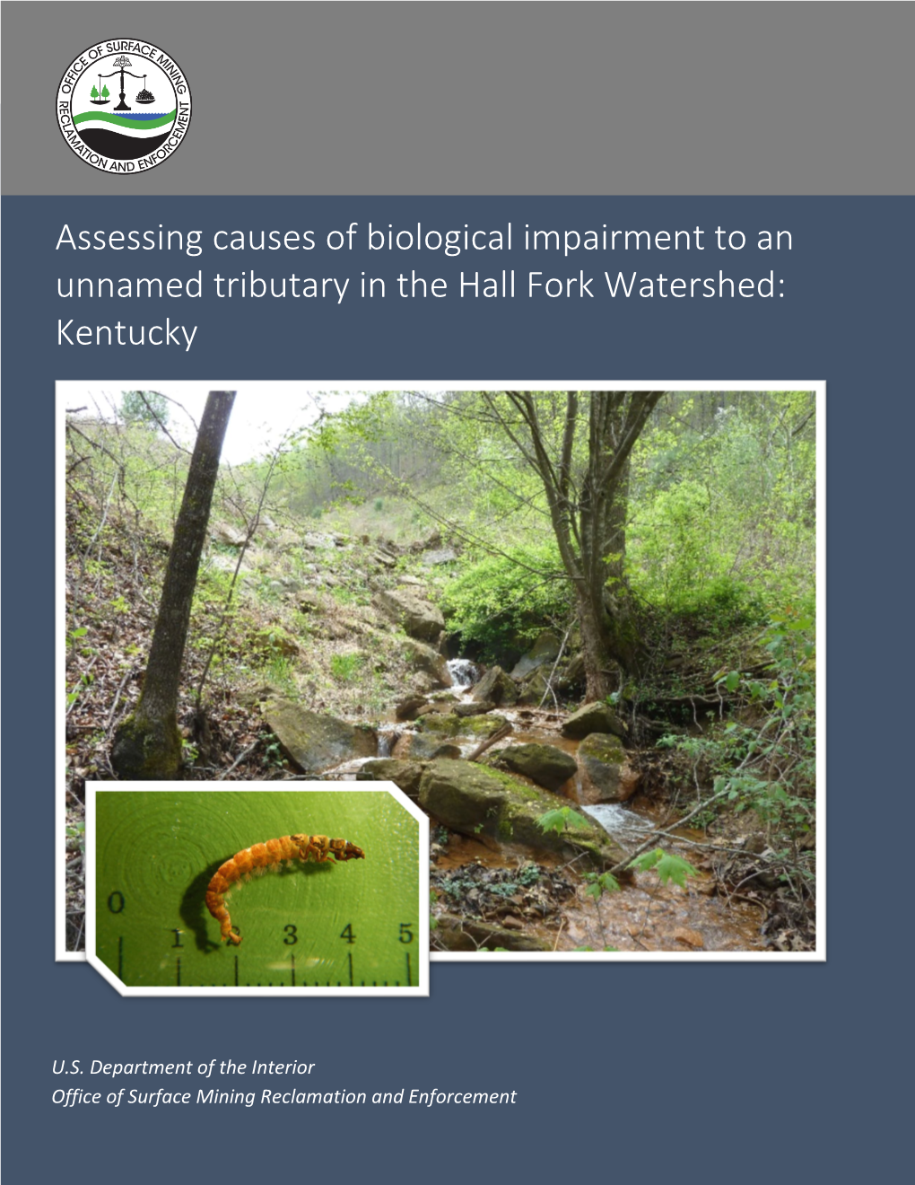 Assessing Causes of Biological Impairment to an Unnamed Tributary in the Hall Fork Watershed: Kentucky