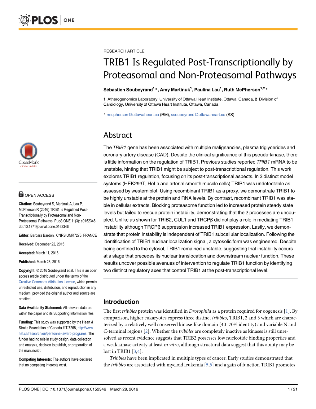 TRIB1 Is Regulated Post-Transcriptionally by Proteasomal and Non-Proteasomal Pathways