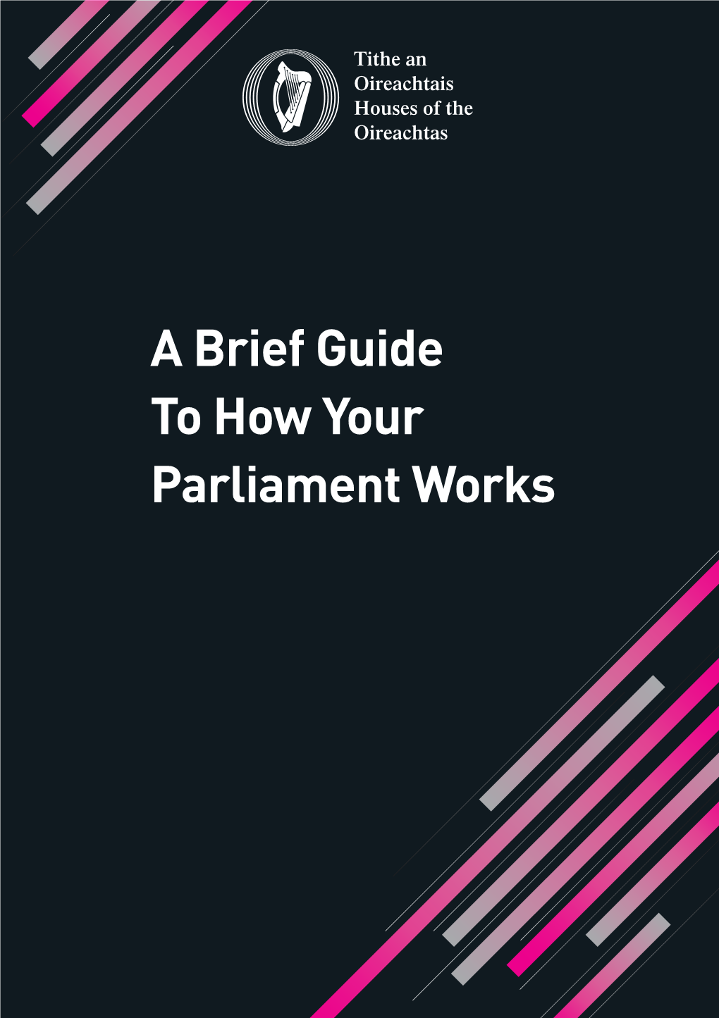 How Parliament Works File