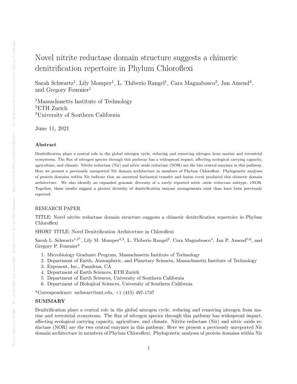 Novel Nitrite Reductase Domain Structure Suggests a Chimeric