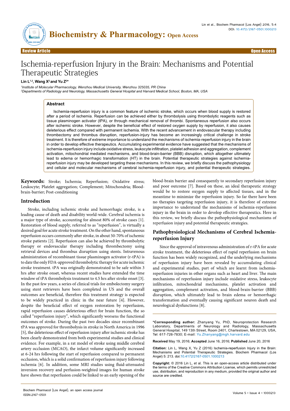 Ischemia-Reperfusion Injury in the Brain