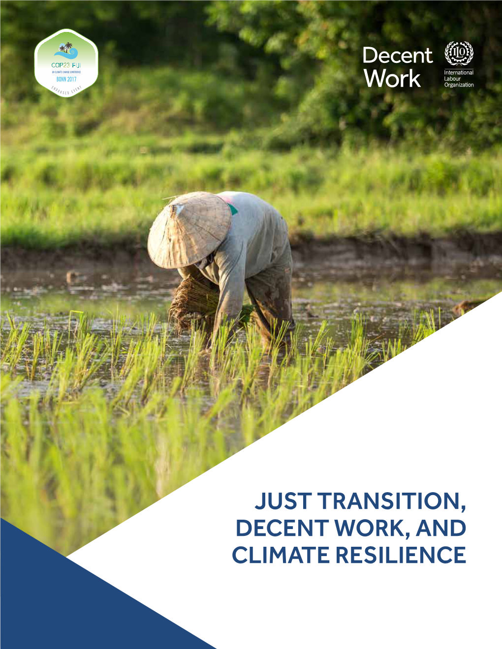 Just Transition, Decent Work, and Climate Resilience