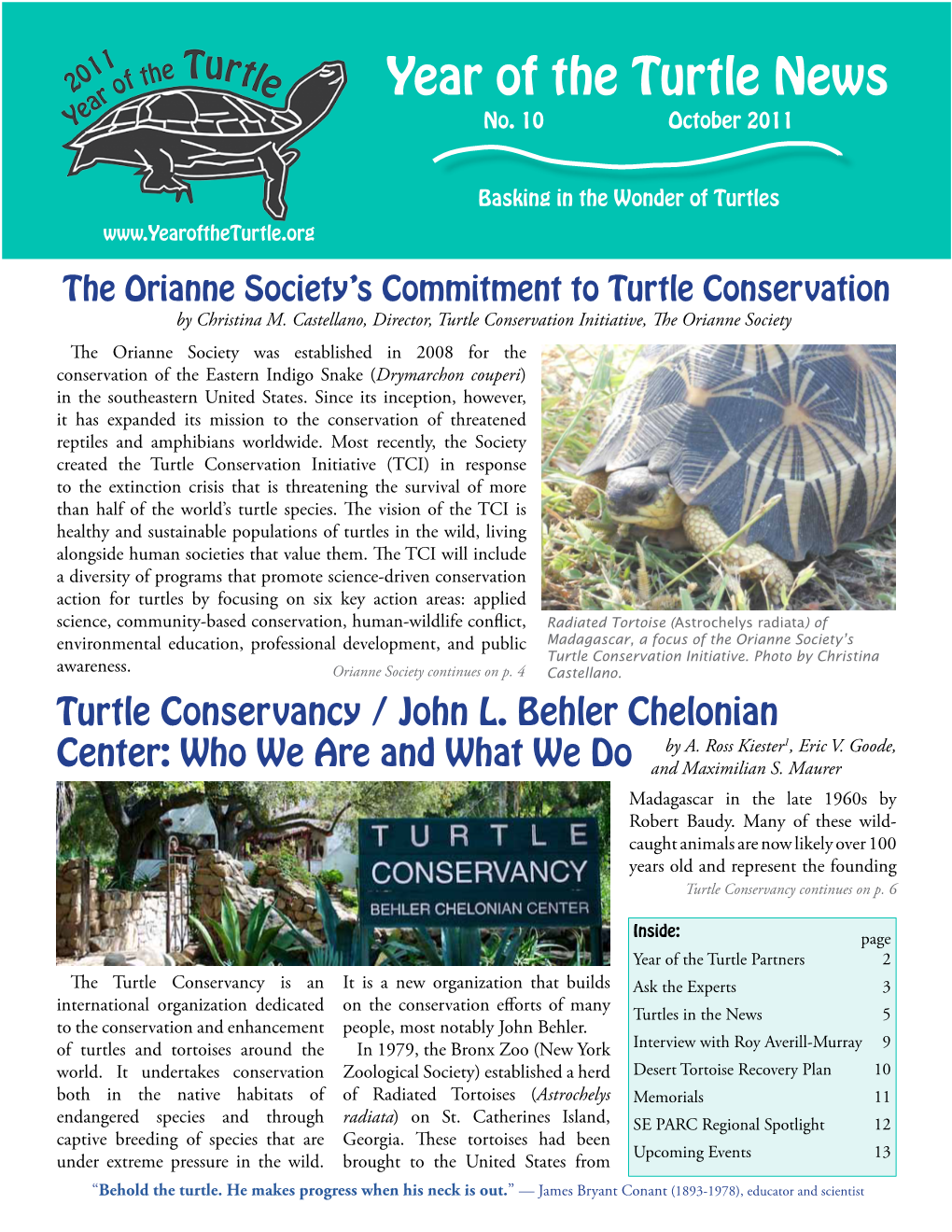 Year of the Turtle News No