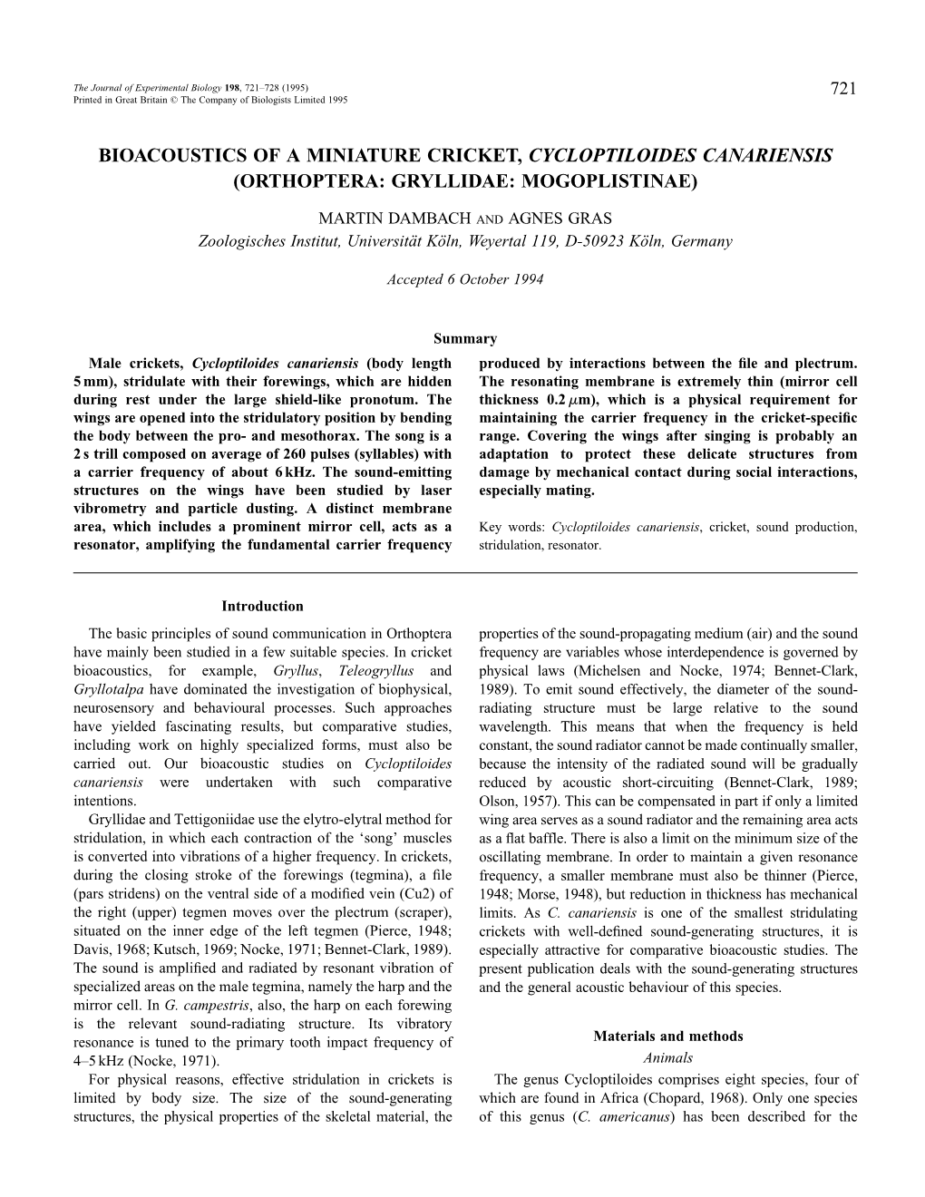 Bioacoustics of a Miniature Cricket, Cycloptiloides Canariensis (Orthoptera: Gryllidae: Mogoplistinae)