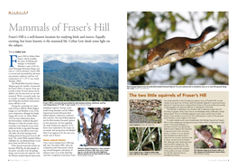Mammals of Fraser's Hill