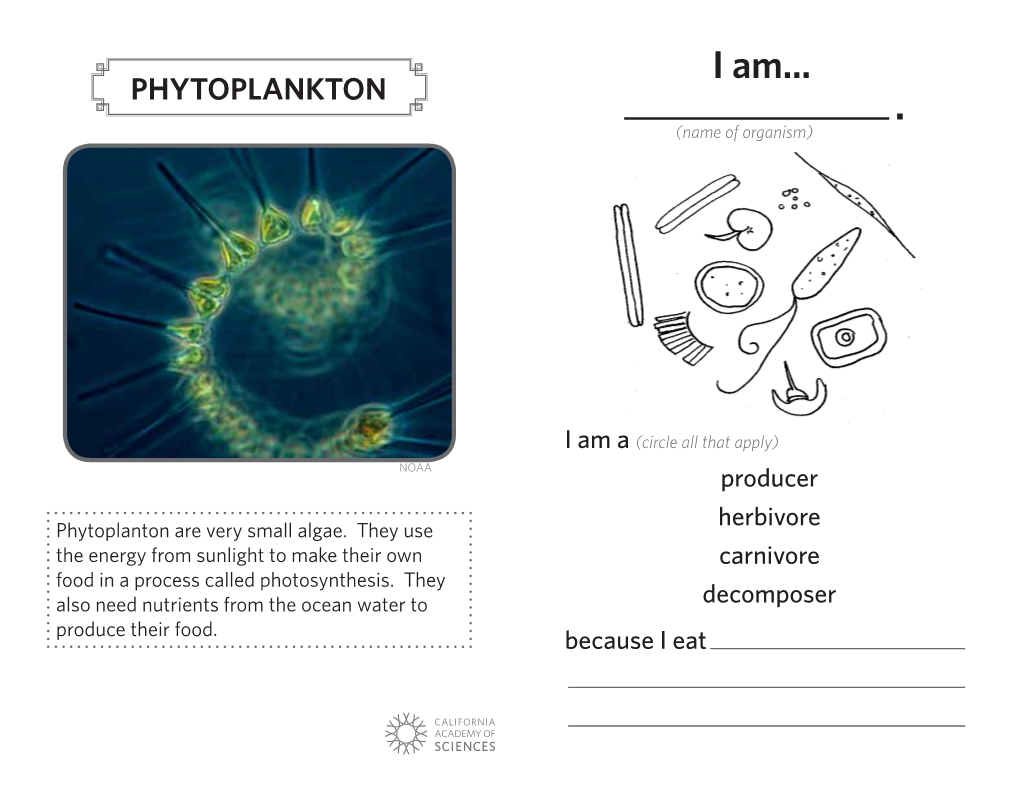 Kelp Forest Ecosystem Organism Card