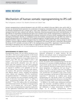 Mechanism of Human Somatic Reprogramming to Ips Cell Rika Teshigawara, Junkwon Cho, Masahiro Kameda and Takashi Tada