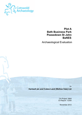 Plot a Bath Business Park Peasedown St John Banes Archaeological Evaluation