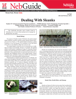 Dealing with Skunks Stephen M