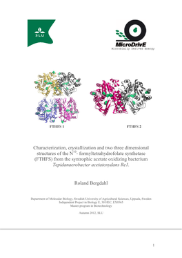 Formyltetrahydrofolate Synthetase (FTHFS) from the Syntrophic Acetate Oxidizing Bacterium Tepidanaerobacter Acetatoxydans Re1