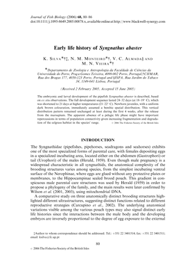 Early Life History of Syngnathus Abaster