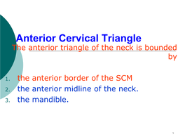 Anterior Cervical Triangle the Anterior Triangle of the Neck Is Bounded By