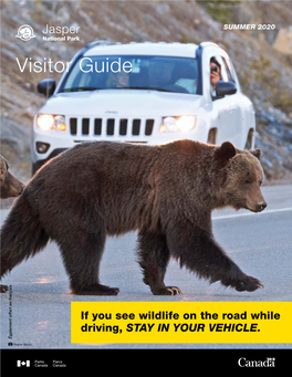 Jasper Visitor Guide