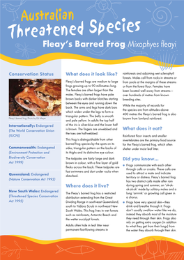 Fleay's Barred Frog Mixophyes Fleayi
