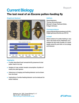 The Last Meal of an Eocene Pollen-Feeding ﬂy