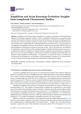 Amphibian and Avian Karyotype Evolution: Insights from Lampbrush Chromosome Studies