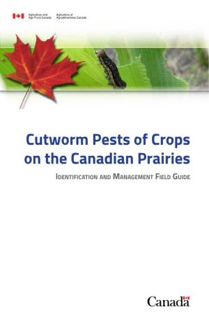 Cutworm Pests of Crops on the Canadian Prairies