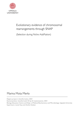 Evolutionary Evidence of Chromosomal Rearrangements Through SNAP Marina Mota Merlo