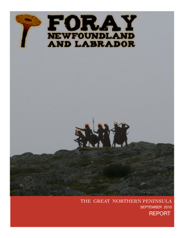 Newfoundland 2010