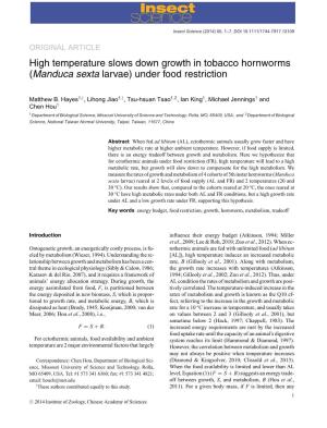 High Temperature Slows Down Growth in Tobacco Hornworms (Manduca Sexta Larvae) Under Food Restriction