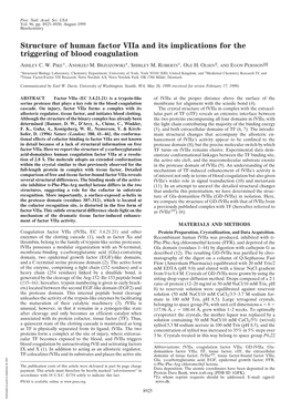 Structure of Human Factor Viia and Its Implications for the Triggering of Blood Coagulation