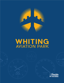Whiting Aviation Park.Pdf
