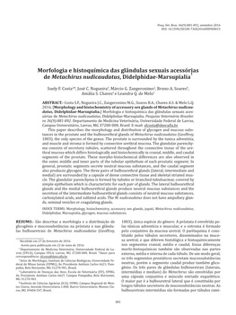 Morfologia E Histoquímica Das Glândulas Sexuais Acessórias De Metachirus Nudicaudatus, Didelphidae-Marsupialia 883