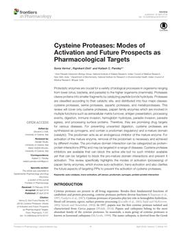 Cysteine Proteases: Modes of Activation and Future Prospects As Pharmacological Targets