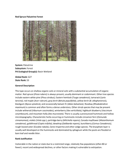 Red Spruce Palustrine Forest System