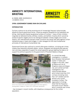Amnesty International Briefing