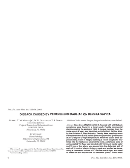 Dieback Caused by Verticillium Dahliae on Blighia Sapida