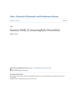 Summer-Holly (Comarostaphylis Diversifolia) Philip A