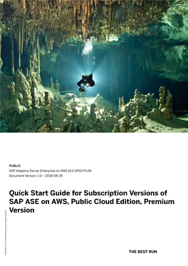 Quick Start Guide for Subscription Versions of SAP ASE on AWS, Public Cloud Edition, Premium Version Company