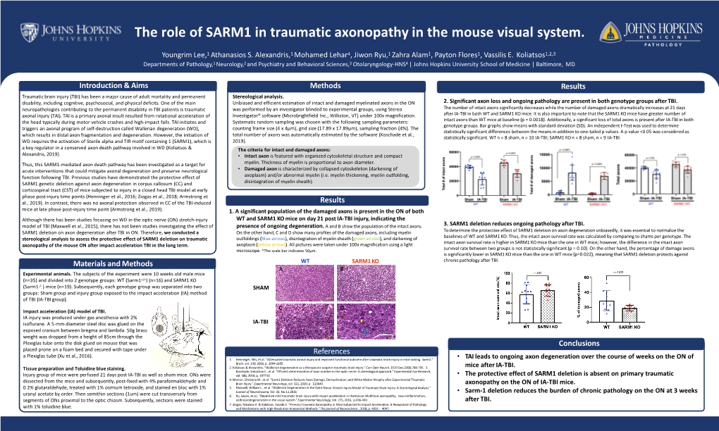 The Role of SARM1 in Traumatic Axonopathy in the Mouse Visual System