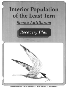 Least Tern Recovery Plan